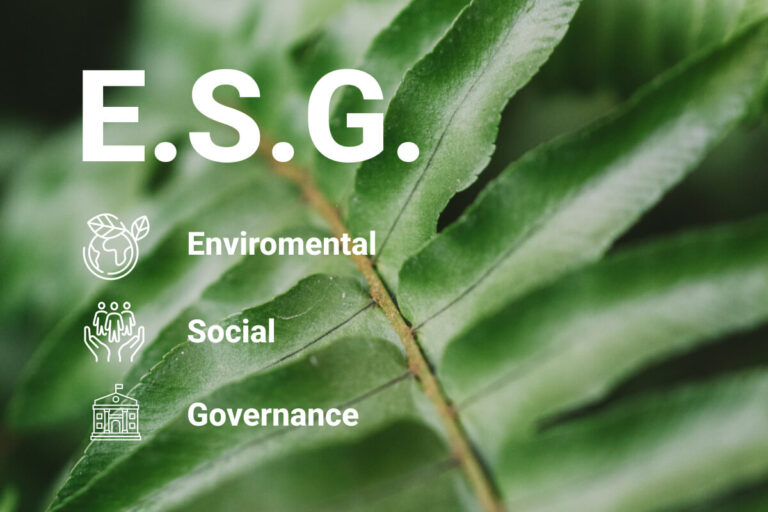 Enviromental Social Governance | Valora Consultora