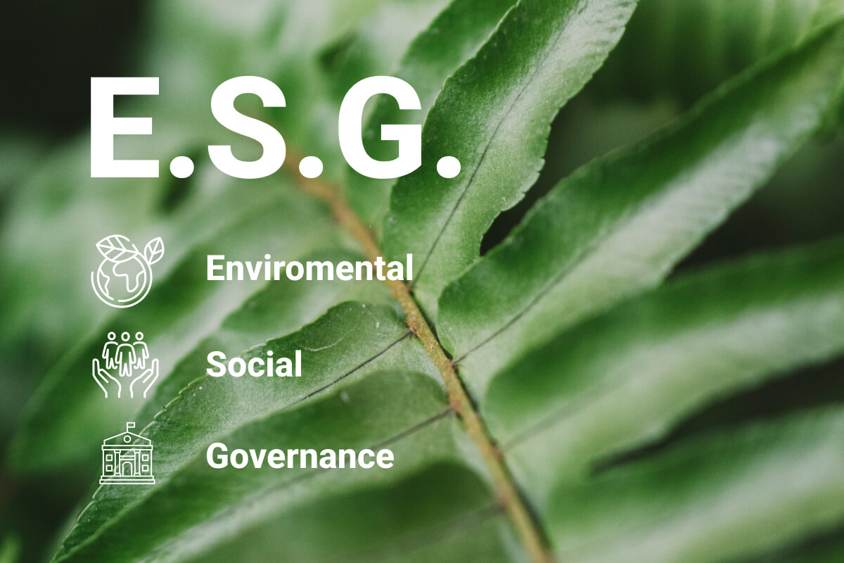 Enviromental Social Governance | Valora Consultora