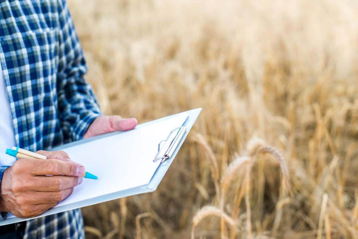 El valor del campo: Como las tasaciones y auditorías impulsan decisiones estratégicas en el agro | Valora Consultora