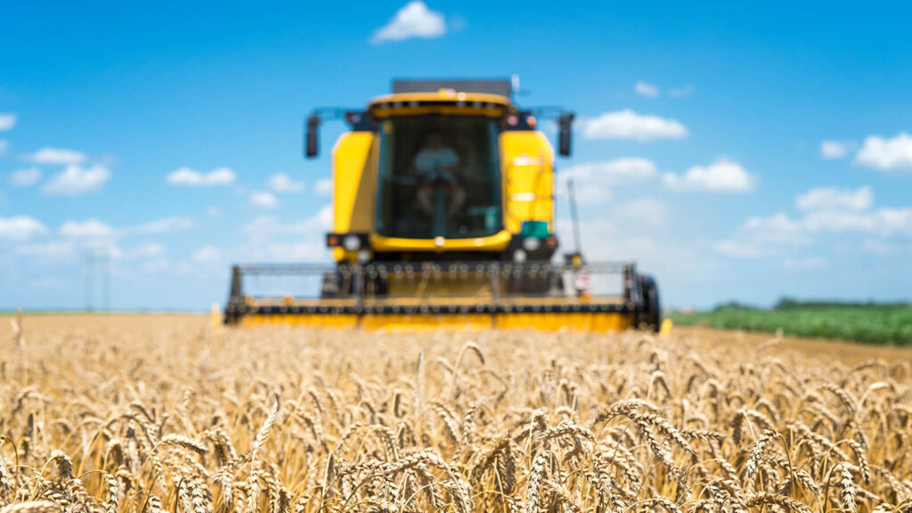Auditorías Agropecuarias: De un proceso administrativo a una ventaja estratégica en el campo | Valora Consultora
