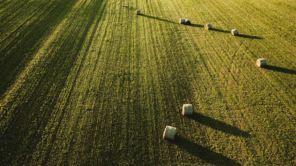 Factores que aumentan el valor de un activo rural: Claves para una gestión estratégica